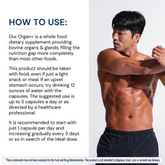 BodyHealth Organ+ grass-fed pancreas capsule for nutrient-dense support.