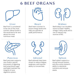 BodyHealth Organ+ six-organ blend capsule for whole-body nutrition.