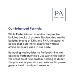 BodyHealth PerfectAmino post-workout recovery option supports daily stamina.