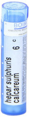 Boiron Hepar Sulphuris Calcareum 6C pellets shown in a quick-dissolving format for travel.