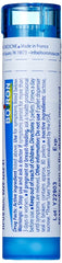 Close view of Boiron 30C pellets dissolving quickly
