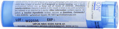 Boiron Mercurius Solubilis 6C box front view shows easy-to-use packaging
