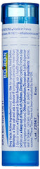 Spongia Tosta 30C pellets dissolving in the mouth for easy dosing