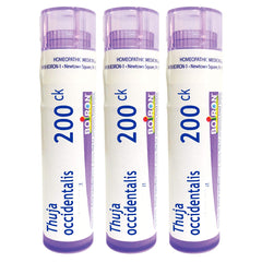 Boiron Thuja Occidentalis 200ck packaging tubes for easy dosing.