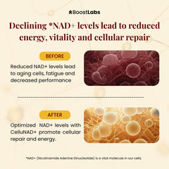 Boost Labs Liposomal NAD+ drops added to coffee for steady daytime energy.