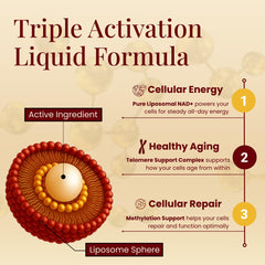 Boost Labs Liposomal NAD+ drops under the tongue for quick, water-free use.