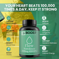 BoostCeuticals nattokinase 100-day supply pack – cost-effective ongoing support