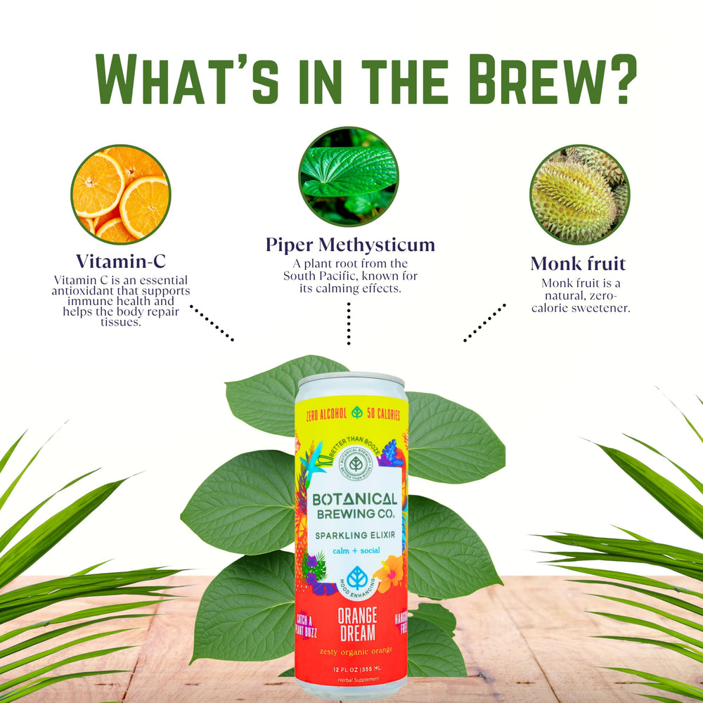 Botanical Brewing 4-pack front showcases convenient, ready-to-share pairing.