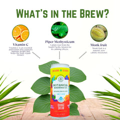 Botanical Brewing 4-pack front showcases convenient, ready-to-share pairing.