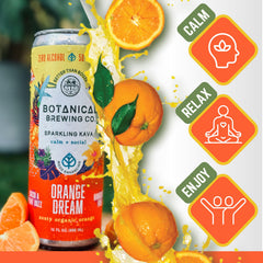 Botanical Brewing eco-friendly aluminum can packaging supports sustainable choices.
