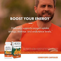 Organic brown rice substrate fermentation supports Cordyceps quality.