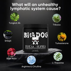 Bruiseweed easy-dosing capsules in hand illustrating simple daily routine.