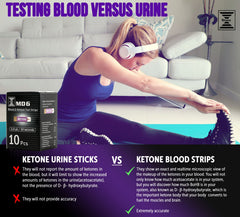 BRUNO MD6 batteries included for instant testing.