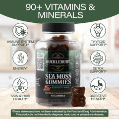 Bucklebury Sea Moss Gummies ingredients with burdock root for digestive health.