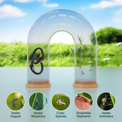 BuggyBands individually wrapped bracelets for convenient sharing and storage.