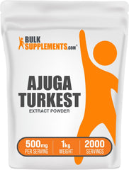 BulkSupplements Ajuga Turkest Extract powder in a jar for easy daily supplementation.