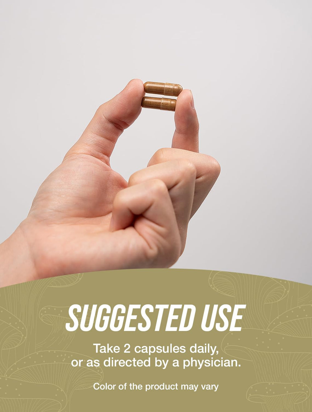 BulkSupplements Turkey Tail Capsules vegan and gluten-free symbol on packaging.