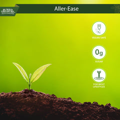 Buried Treasure Aller Ease immune support scene suggesting year-round nasal comfort