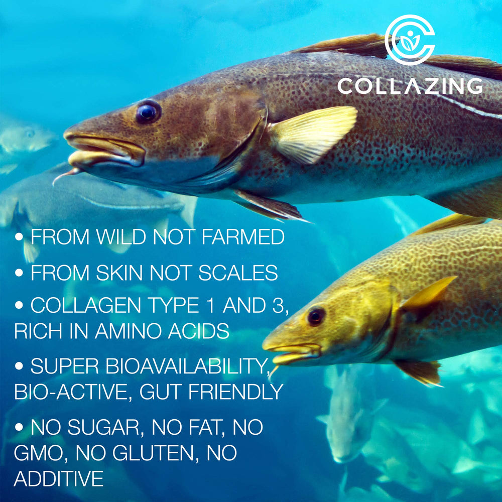 C COLLAZING GMP and FDA-registered facility seal on packaging.