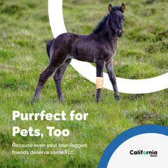 California Basics versatile wrap for kids and pets, mild compression and protection.