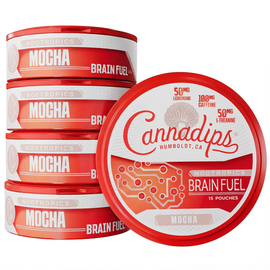 Cannadips Mocha Energy Pouch pack highlighting clean focus and portability