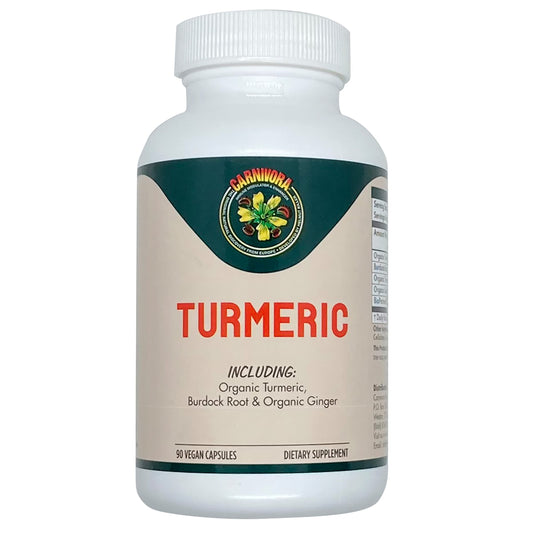 Carnivora Turmeric bottle closed for convenient daily joint and digestion support.