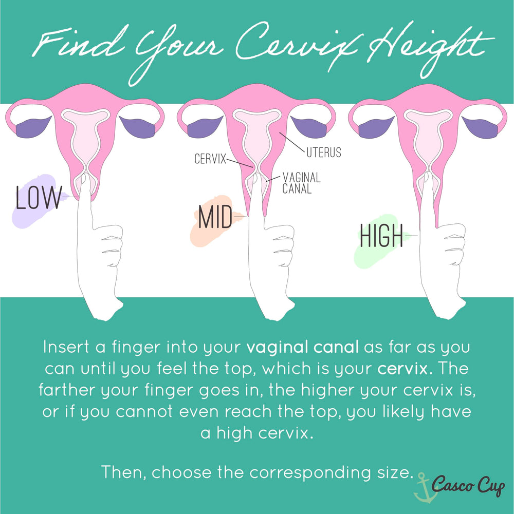 Casco Cup fit options illustrate different sizes to help find your fit.