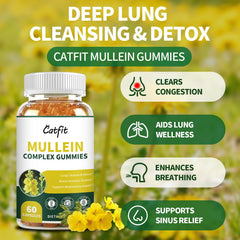 Catfit Mullein Gummies 2-pack box highlights value and routine use.