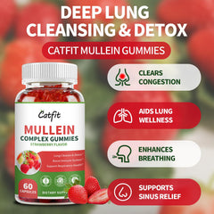 Catfit Mullein Gummies ingredients visual showing quercetin and elderberry for immunity.