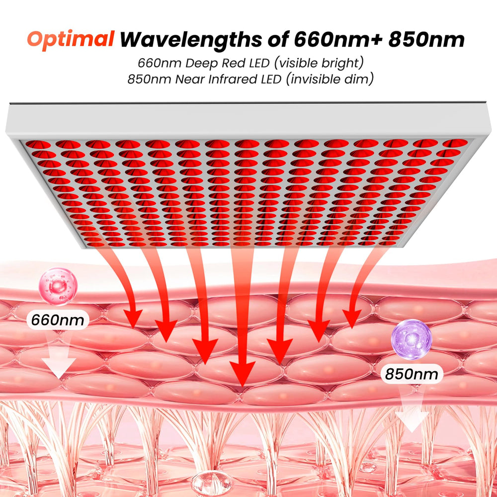 CCGIRU adjustable-height stand supports diverse body positions.