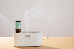 CE CRAFT diffuser with charging cable, ready for quick recharge.
