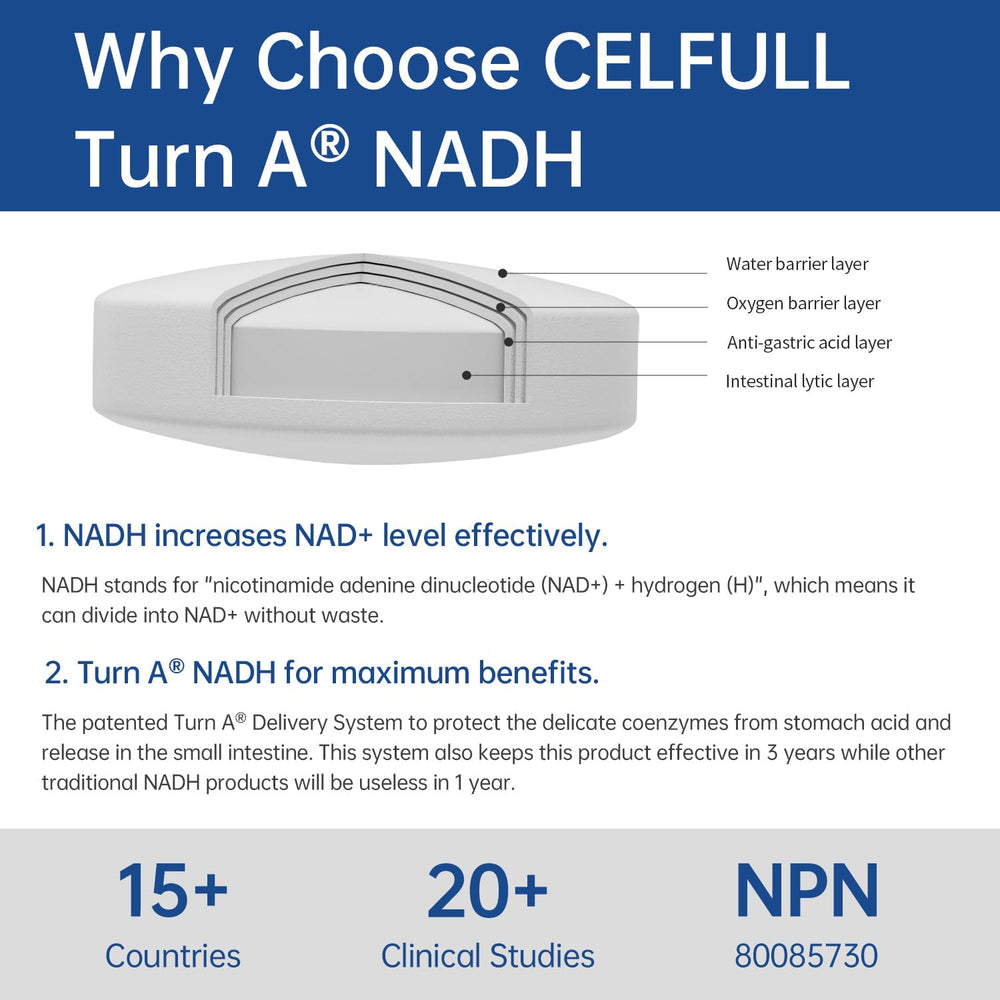 CELFULL NADH tablet close-up shows a small, easy-to-swallow dose for daily energy
