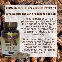 CellFend piperlongumine ingredient label—clear potency details for informed use.