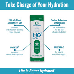 Cellutrex H2O electrolytes watermelon ingredients: Ancient Cave Salt, Pureway-C, OptiMSM