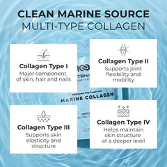 Centenarius Nutrition collagen powder with scoop for easy daily mixing.
