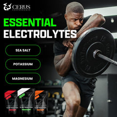 Cerus Coconut Lime electrolyte scoop ready for quick hydration.