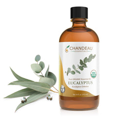 Chandeau Essentials eucalyptus oil bottle in amber glass for storage and diffusion