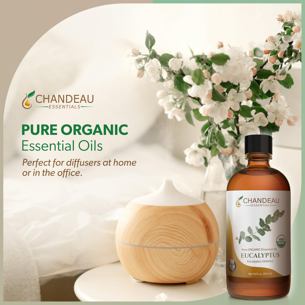Diffuser setup with Chandeau Essentials eucalyptus oil for aroma