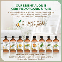 Chandeau Essentials lavender oil close-up highlighting purity and clarity.