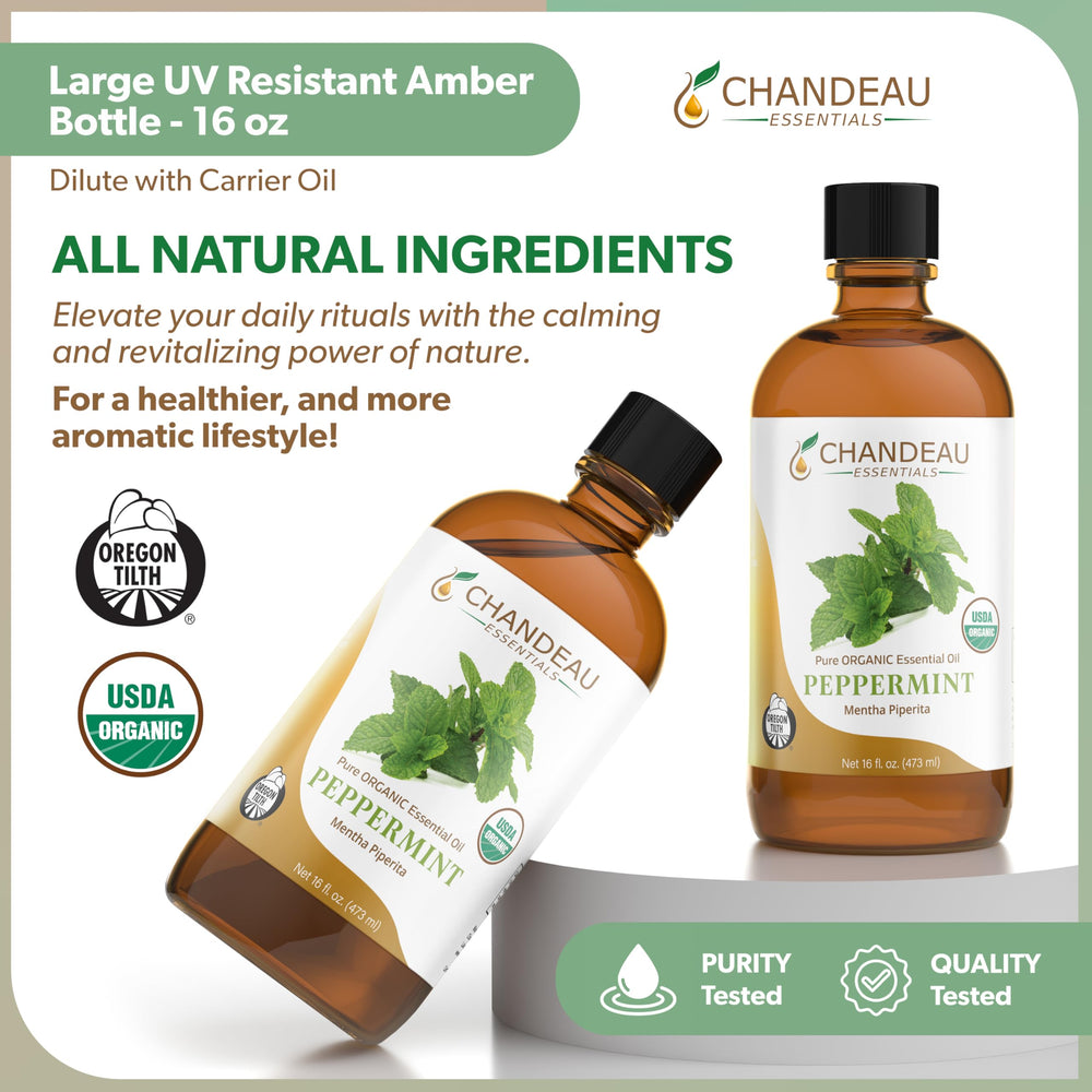 Chandeau Essentials peppermint air freshener scene for a refreshing space