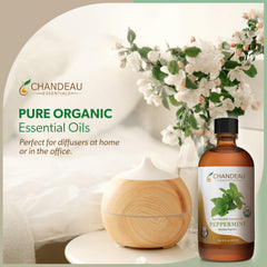 Chandeau Essentials peppermint diffuser scene with crisp mint scent