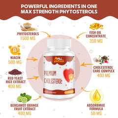 Niacin and red yeast rice ingredients in ChiQwench capsules signaling a multi-ingredient formula