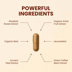 CHOQ Action 2.0 capsules closeup showing convenient vegan capsules.