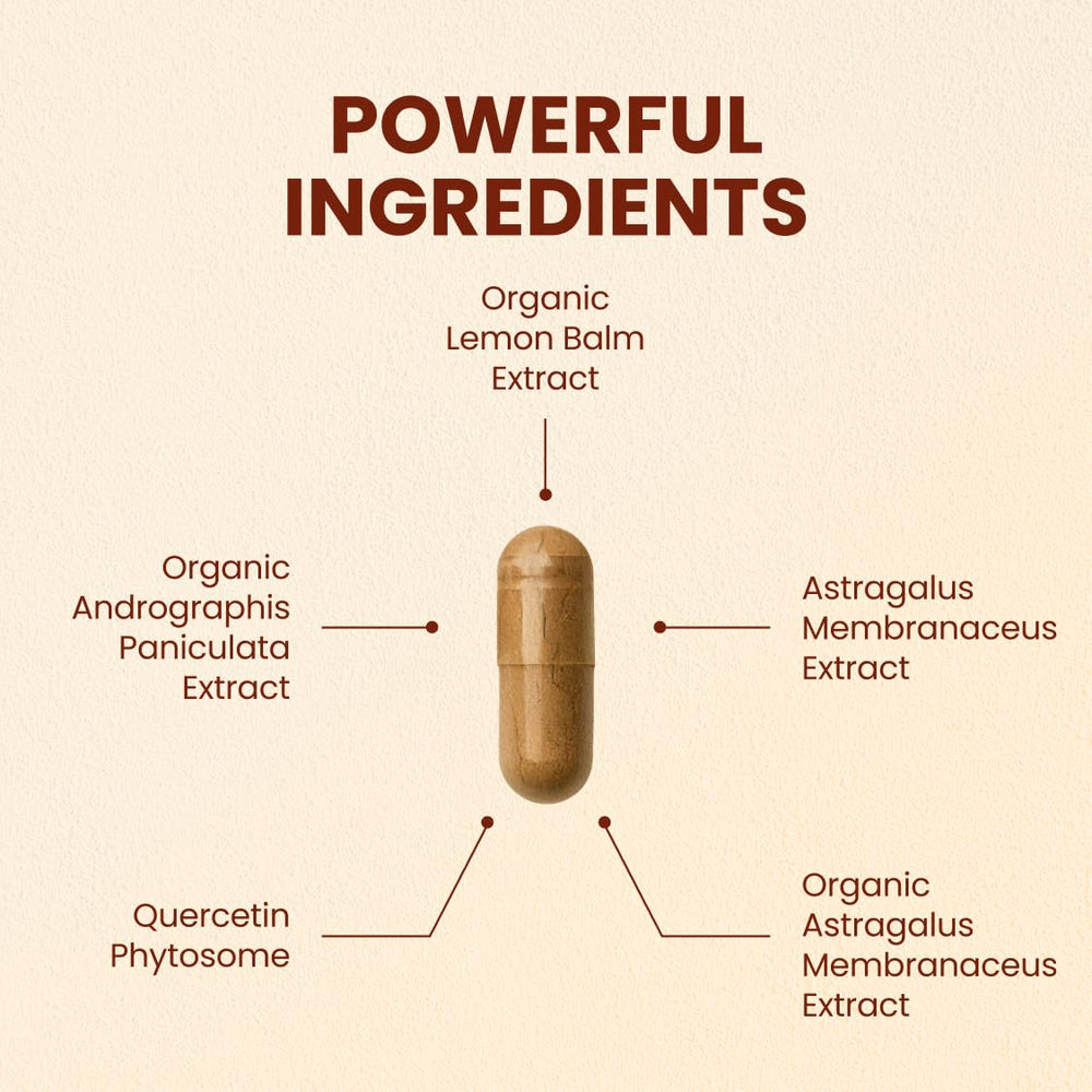 Close-up of CHQ Armor capsules showing 20x absorption quercetin phytosome.