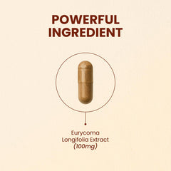 CHOQ 30 capsules pack highlights vegan, clean formula with LJ100 extract