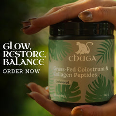 Chuga Shilajit post-workout recovery scene suggests joint comfort