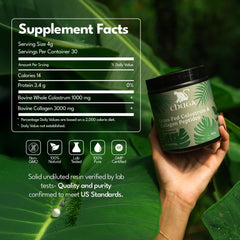 Chuga Shilajit skin-hair-nails glow focus signals radiant appearance