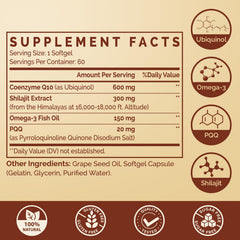 Ciaceae Shilajit extract energy-boost visual suggesting cellular energy support.