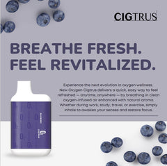 Cigtrus O2 Inhaler Blueberry packaging emphasizes travel-ready convenience