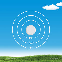 Claritin helps manage allergen symptoms in daily routines.